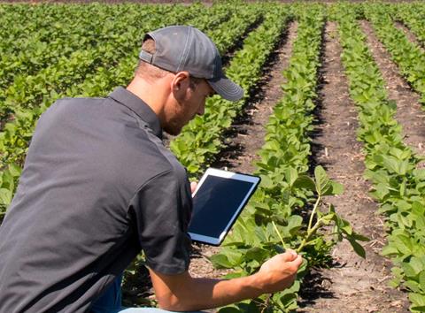 Man holding tablet while checking crop