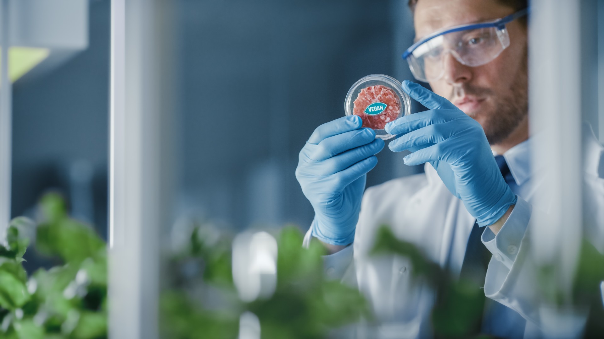 Scientist observing vegan meat sample