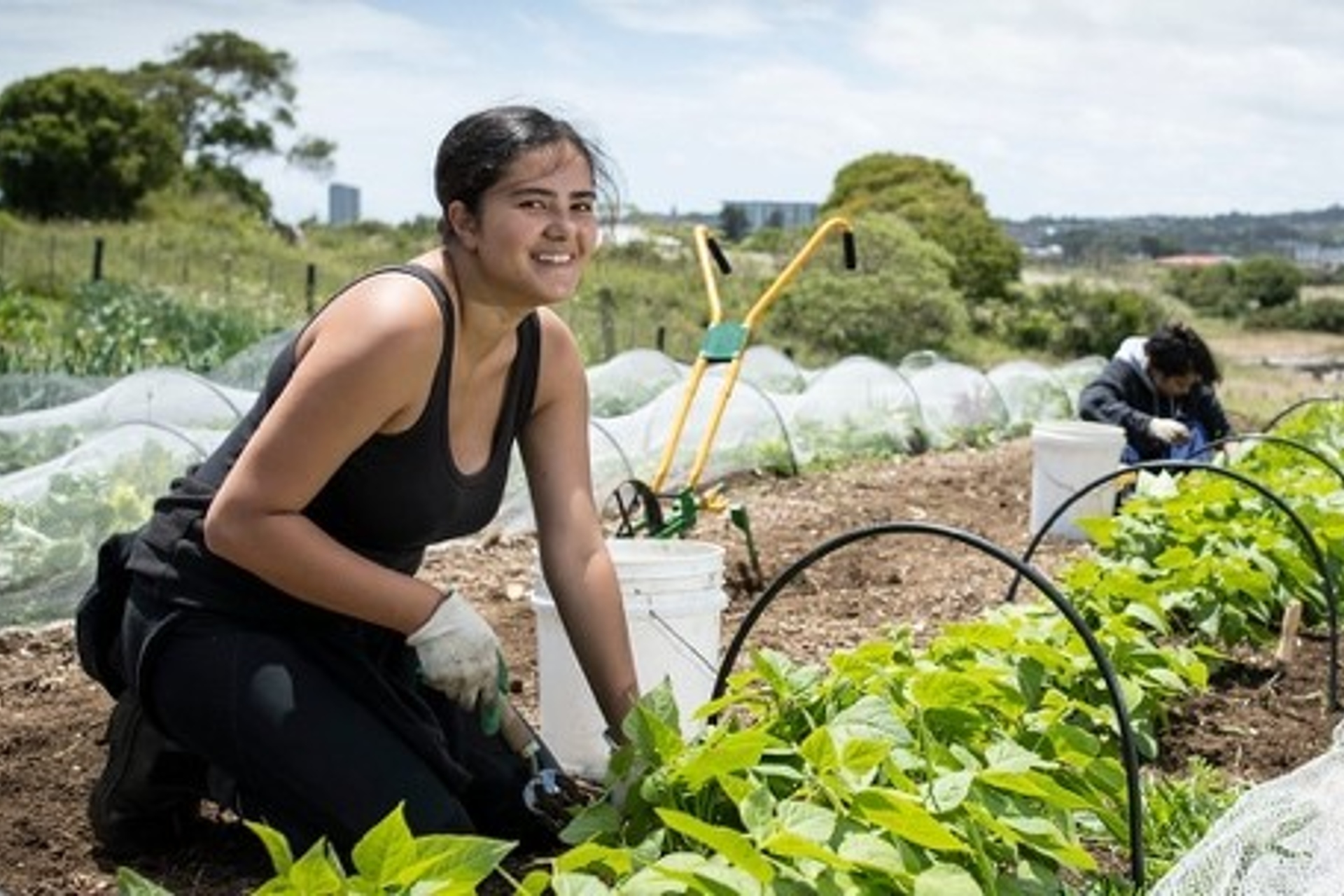 Young woman working on veggie bed