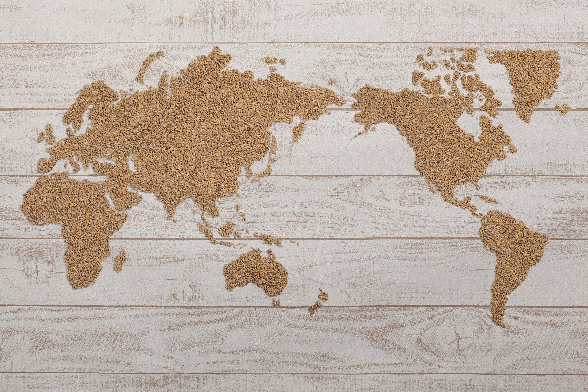 World map in grains